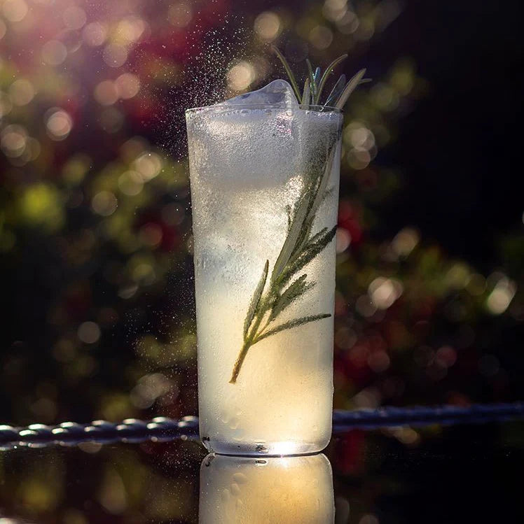 Crystal Highball Glasses 11.25 oz - Nude Savage - Set of 6