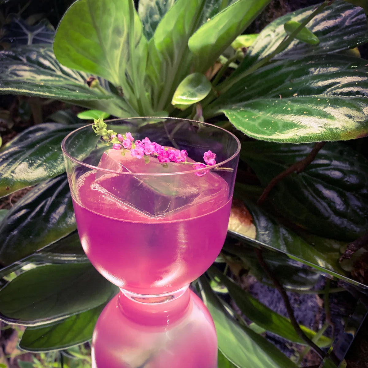 Crystal Lowball Glasses 12.75 oz - Nude Hepburn - Set of 6