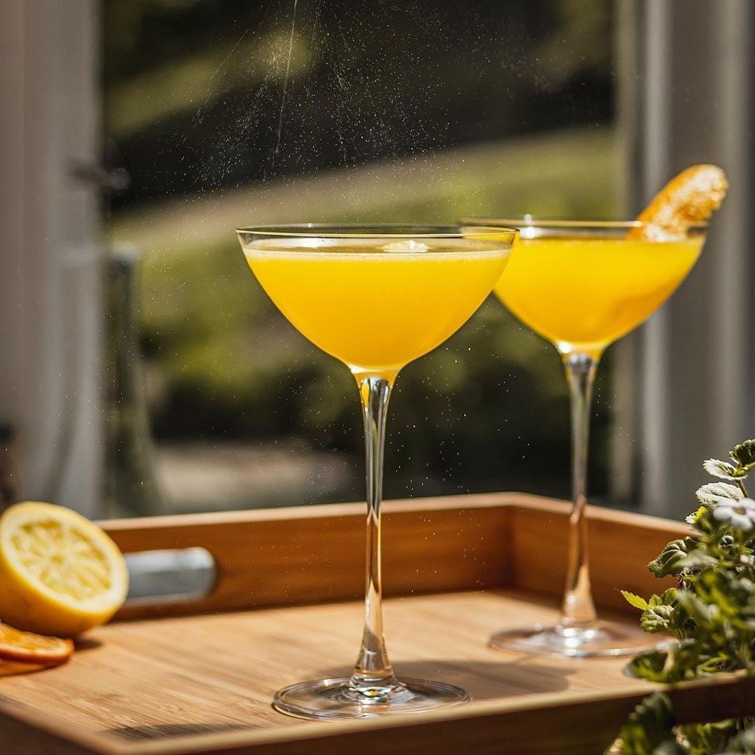 Crystal Coupetini Glasses 5.75 oz – Nude Savage - Set of 6