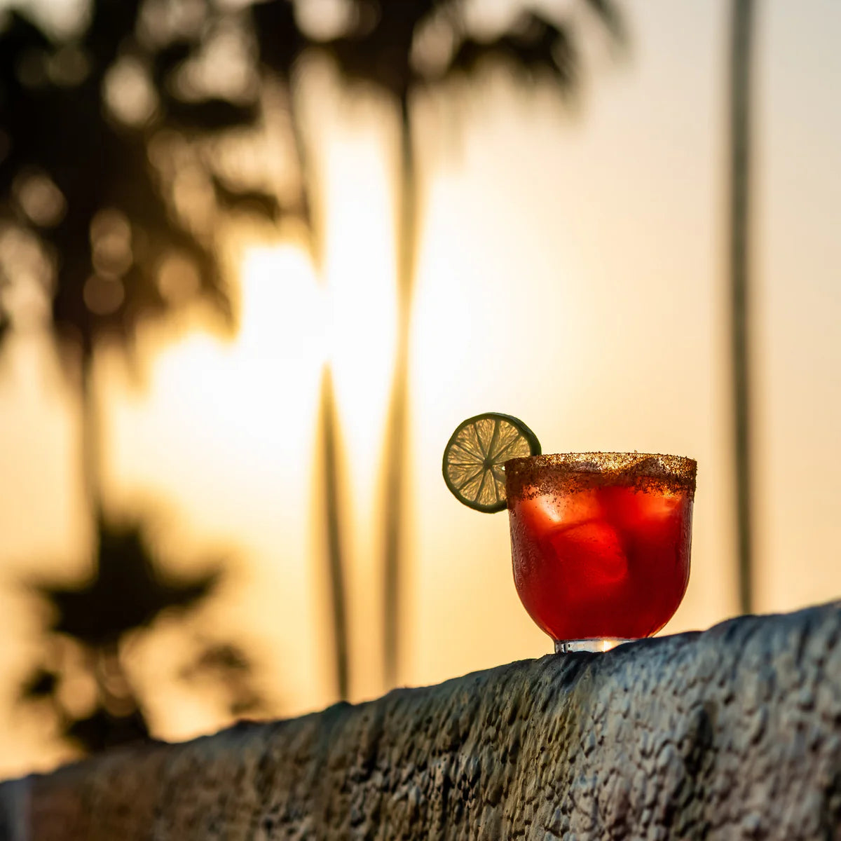 Crystal Lowball Glasses 12.75 oz - Nude Hepburn - Set of 6