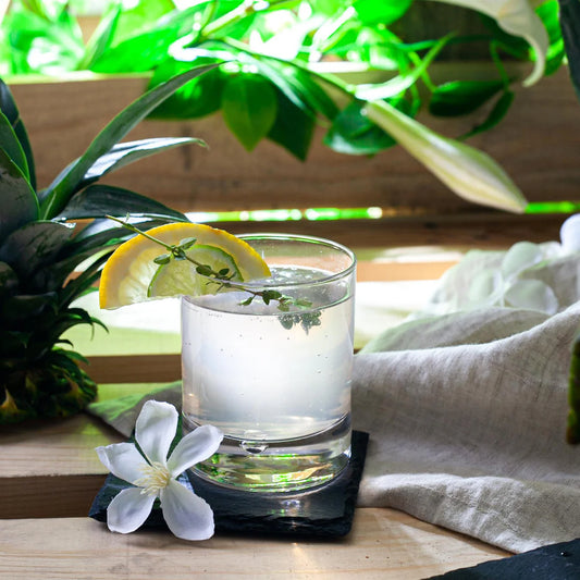 Old Fashioned Whisky Glasses 9.5 oz - Bormioli Rocco Barglass - Set of 6