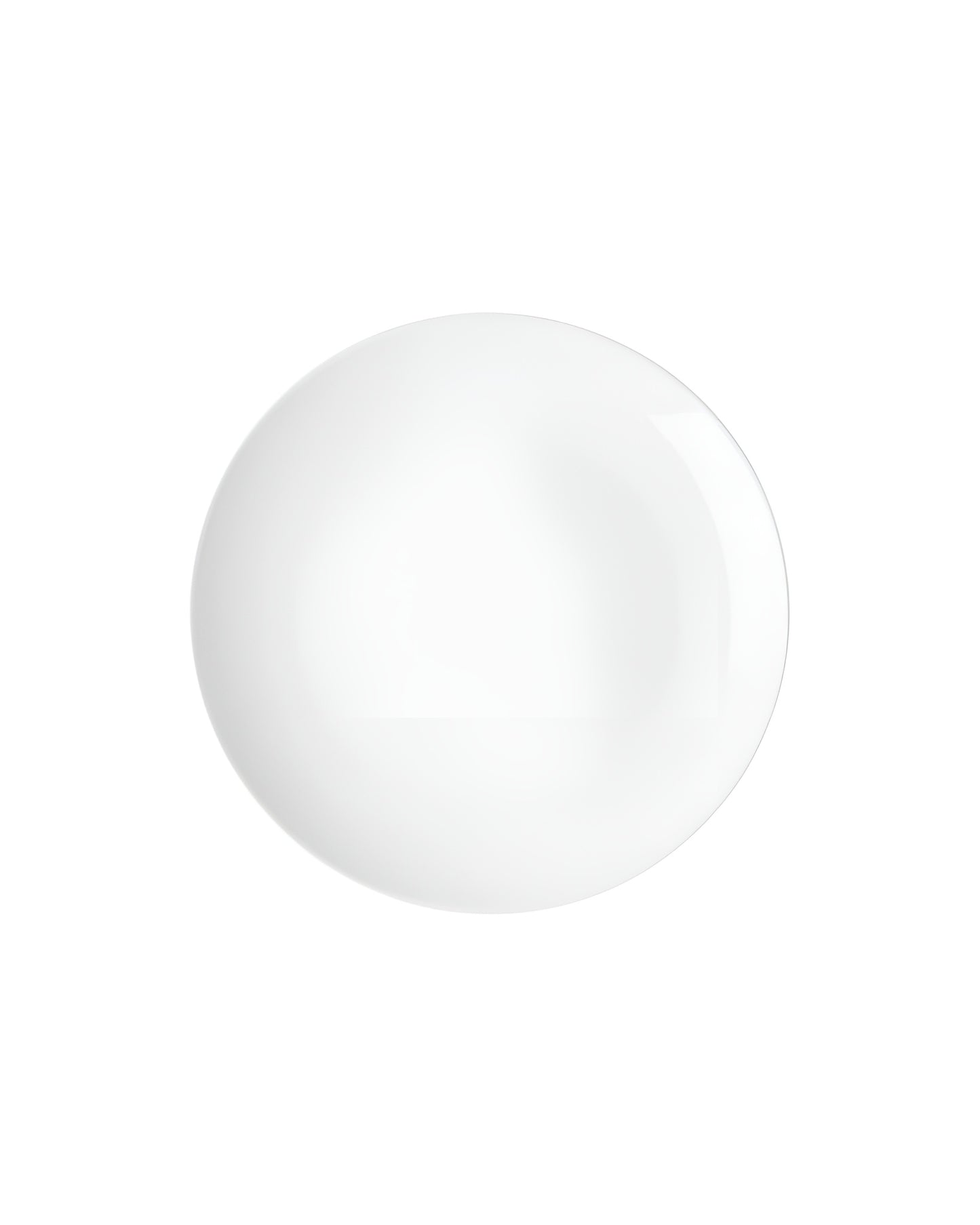 Circular Plate Rimless 8/12 in - 1Piece