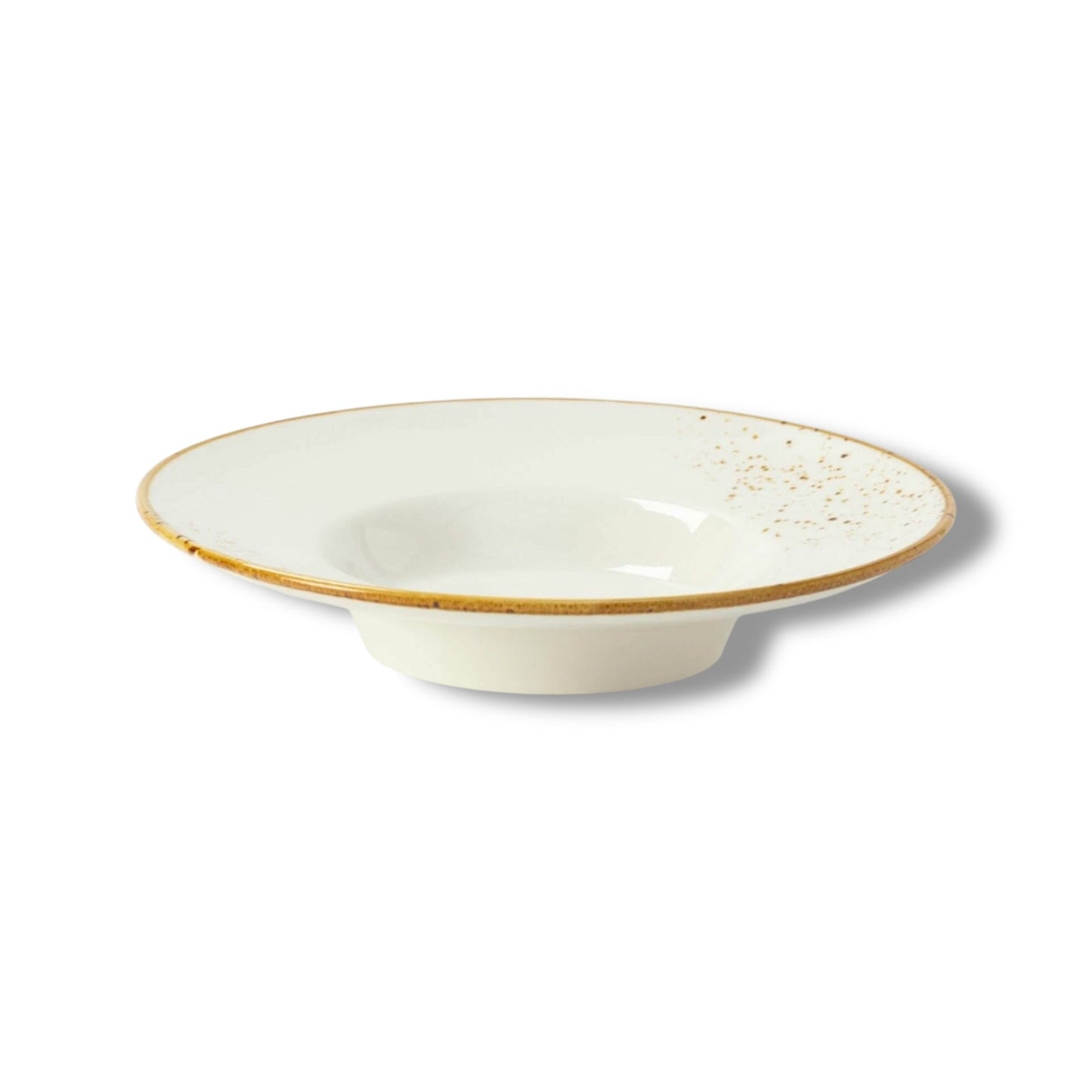 Gold Rimmed Risotto Plate 11.5” - Terra - 12 Pieces