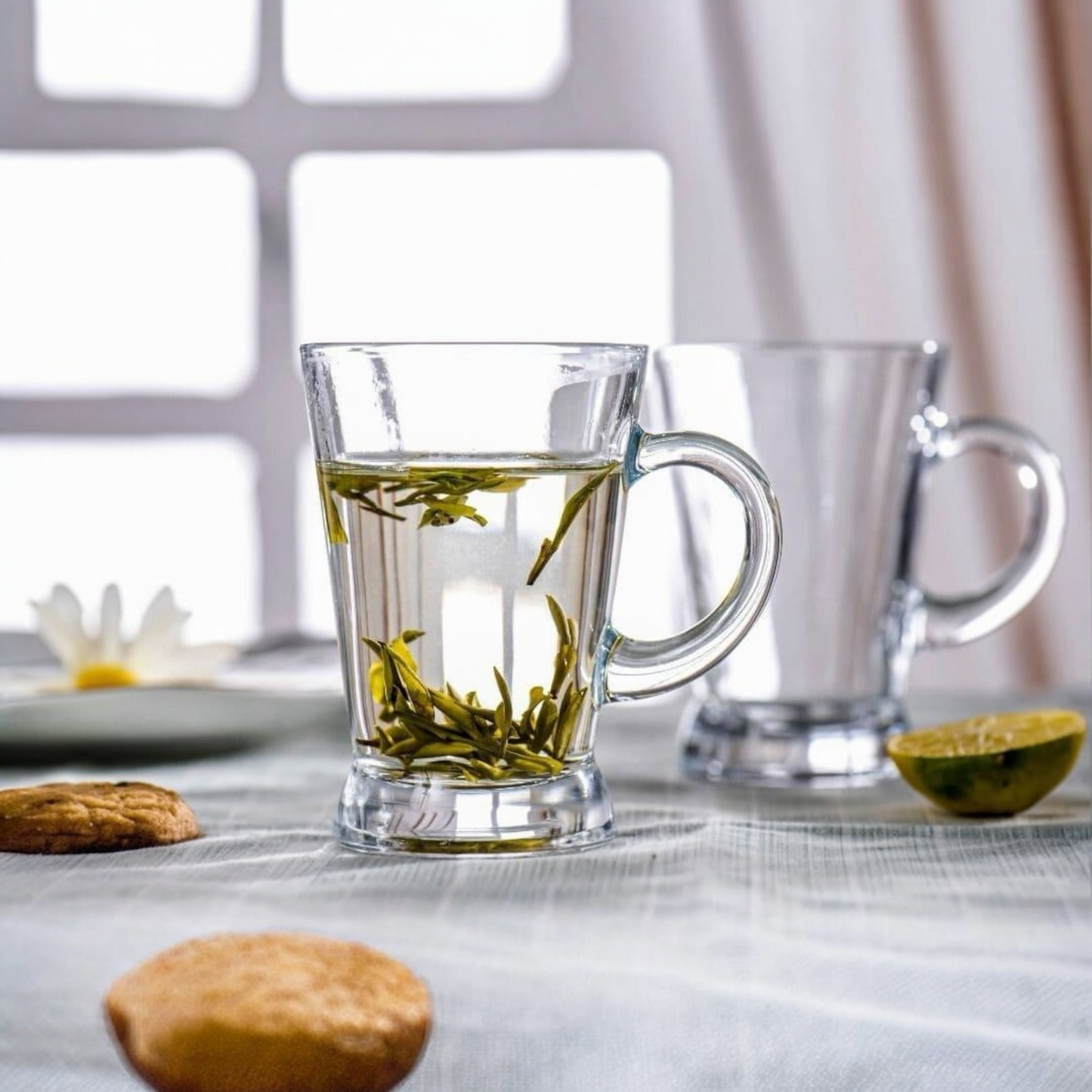 BLINKMAX Glass Teacups – 5.5 oz (165 mL) | Set of 6