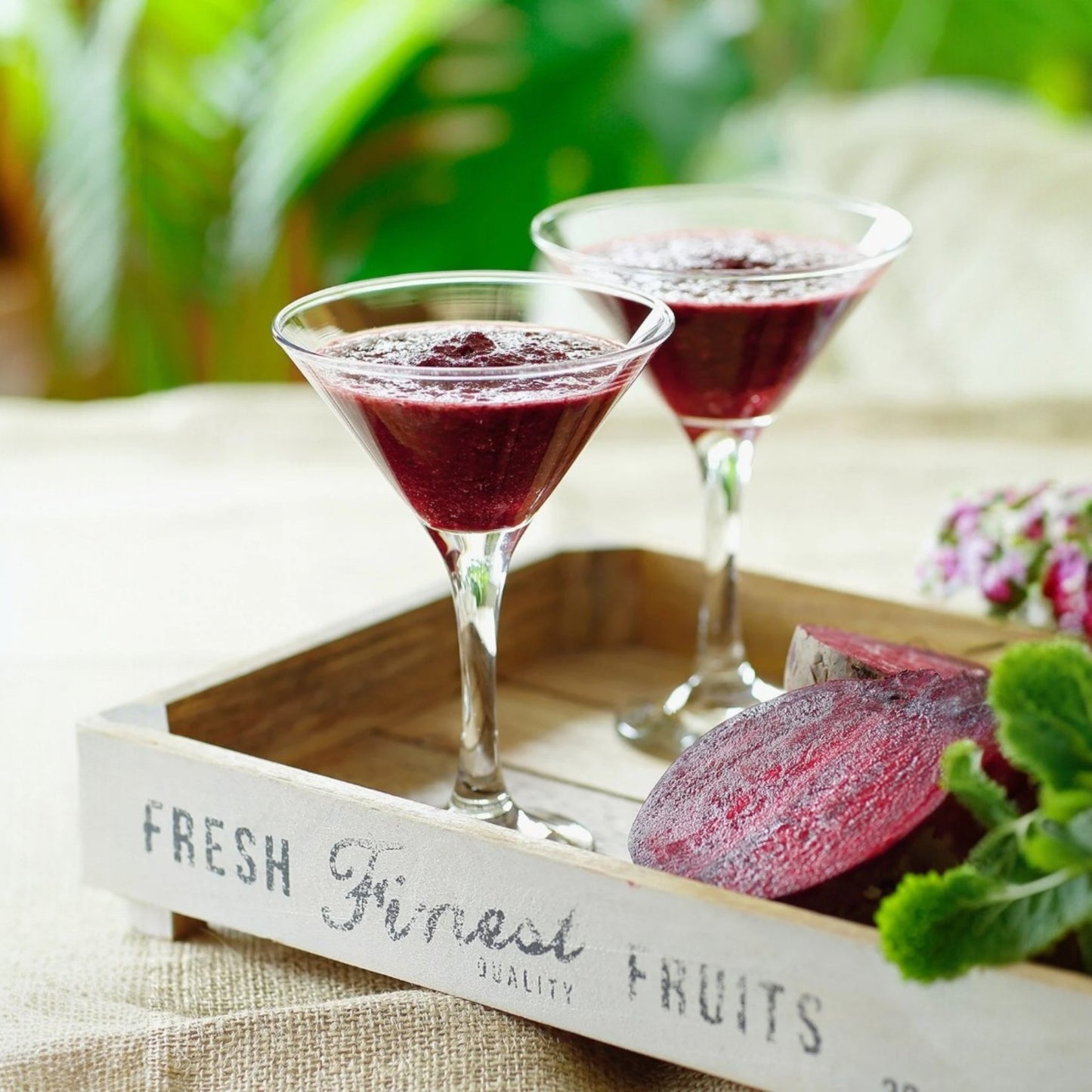 Martini Glasses 6 Oz - LAV MISKET - Set of 6